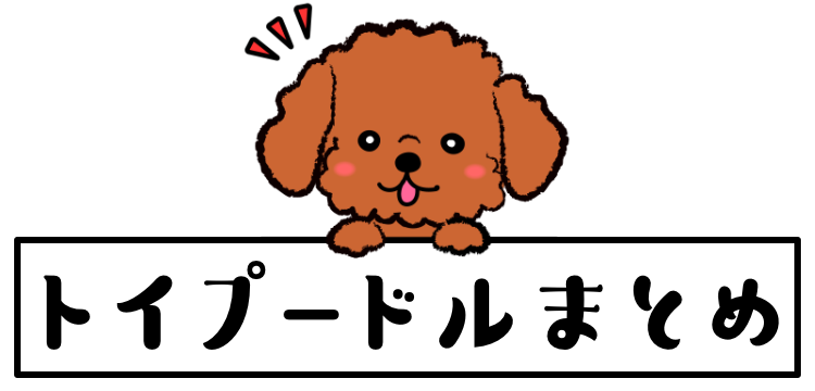 トイプードルは小型犬でも王様？